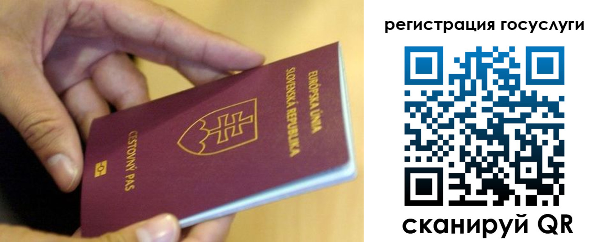 прописка в квартире в Зеленоградске